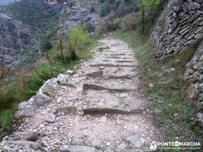 Montgó - Catedral Senderismo- Cova Tallada; monasterio del paular rascafria casa del bosque cercedi